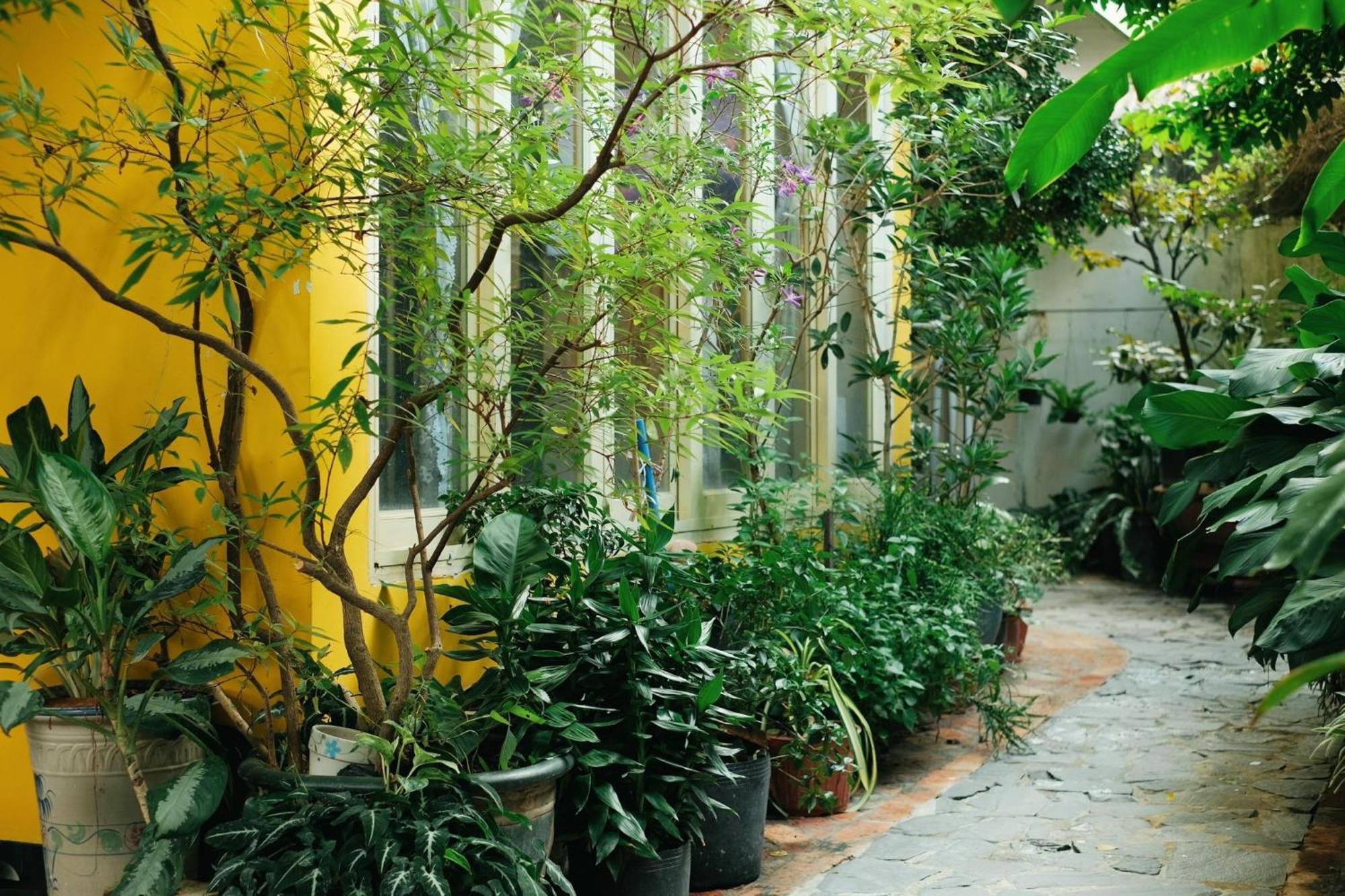 Homestay In Tay Ninh Esterno foto